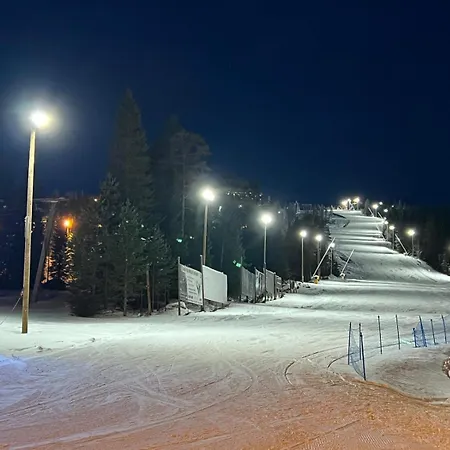 Apartment Aurinkorinne 2 - Modern 2bd&loft, Free Wifi&sauna *